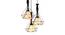 Ridley Black Iron Hanging Lights (Black) by Urban Ladder - Ground View Design 1 - 798261