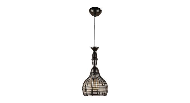 Holley Black Iron Hanging Lights (Black) by Urban Ladder - Front View Design 1 - 798267