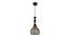 Holley Black Iron Hanging Lights (Black) by Urban Ladder - Front View Design 1 - 798267