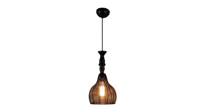 Holley Black Iron Hanging Lights (Black) by Urban Ladder - Design 1 Side View - 798301
