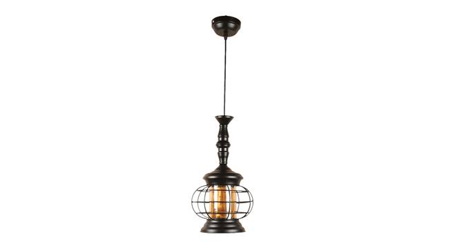Calanthe Black Iron Hanging Lights (Black) by Urban Ladder - Design 1 Side View - 798305