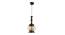 Calanthe Black Iron Hanging Lights (Black) by Urban Ladder - Design 1 Side View - 798305