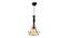 Ianthia Black Iron Hanging Lights (Black) by Urban Ladder - Design 1 Side View - 798306