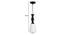 Dorothy Black Iron Hanging Lights (Black) by Urban Ladder - Design 1 Dimension - 798353