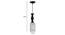 Katherine Black Iron Hanging Lights (Black) by Urban Ladder - Design 1 Dimension - 798383