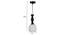 Susan Black Iron Hanging Lights (Black) by Urban Ladder - Design 1 Dimension - 798428