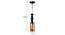 Sylvia Black Iron Hanging Lights (Black) by Urban Ladder - Design 1 Dimension - 798429