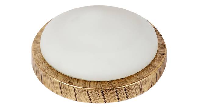 Orlando Gold Iron Ceiling Light (Gold) by Urban Ladder - Front View Design 1 - 798453