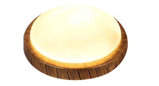Orlando Gold Iron Ceiling Light (Gold) by Urban Ladder - Design 1 Side View - 798487