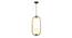 Wylan Gold Iron Hanging Light (Gold) by Urban Ladder - Design 1 Side View - 798498