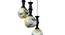 Arlean Gold Iron Hanging Light (Gold) by Urban Ladder - Ground View Design 1 - 798535