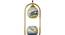 Dawna Gold Iron Hanging Light (Gold) by Urban Ladder - Ground View Design 1 - 798538