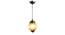 Raylen Gold Iron Hanging Lights (Gold) by Urban Ladder - Design 1 Side View - 798558