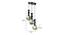 Arlean Gold Iron Hanging Light (Gold) by Urban Ladder - Design 1 Dimension - 798582