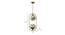 Dawna Gold Iron Hanging Light (Gold) by Urban Ladder - Design 1 Dimension - 798587