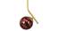 Grace Gold Iron Hanging Lights (Gold) by Urban Ladder - Design 1 Side View - 798639