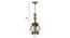 Maryse Gold Iron Hanging Lights (Gold) by Urban Ladder - Design 1 Dimension - 798713