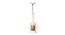 Sallyanne White Iron Hanging Lights (White) by Urban Ladder - Front View Design 1 - 798740