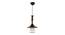 Olivio Black Aluminium Hanging Lights (Black) by Urban Ladder - Front View Design 1 - 798804
