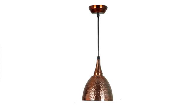 Iris brown Aluminium Hanging Lights (Brown) by Urban Ladder - Front View Design 1 - 798813