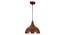 Isabel brown Aluminium Hanging Lights (Brown) by Urban Ladder - Front View Design 1 - 798814
