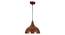 Isabel brown Aluminium Hanging Lights (Brown) by Urban Ladder - Front View Design 1 - 798814