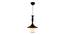 Lourence Black Aluminium Hanging Lights (Black) by Urban Ladder - Design 1 Side View - 798830