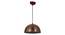 Jean brown Aluminium Hanging Lights (Brown) by Urban Ladder - Front View Design 1 - 798881