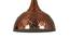 Jane brown Aluminium Hanging Lights (Brown) by Urban Ladder - Design 1 Side View - 798897