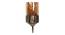 Emile Gold Iron Wall Lights (Gold) by Urban Ladder - Ground View Design 1 - 799038