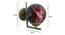 Yarrow Gold Iron Wall Lights (Gold) by Urban Ladder - Design 1 Dimension - 799142