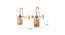 Lauri Gold Iron Wall Lights (Gold) by Urban Ladder - Design 1 Dimension - 799220
