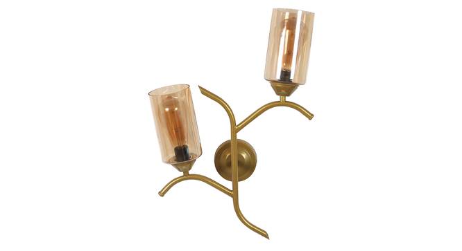 Jorge Gold Iron Wall Lights (Gold) by Urban Ladder - Front View Design 1 - 799238