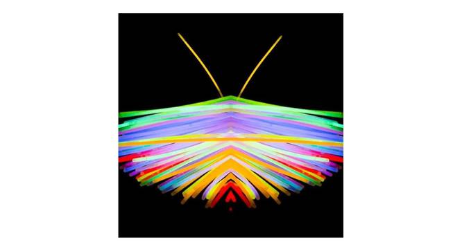 Colorful Neon Butterfly Painting - 24 x 24 inch (multi-color) by Urban Ladder - Design 1 Side View - 799493