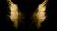 Golden Angel Wings Painting - 24 x 16 inch (multi-color) by Urban Ladder - Design 1 Side View - 799498