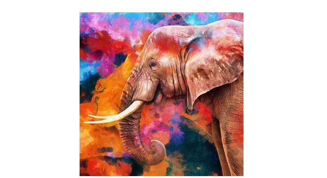 Multicolor Elephant Painting - 24 x 24 inch (multi-color) by Urban Ladder - Front View Design 1 - 799544