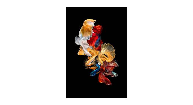 Multicolored Lucky Fish Painting - 24 x 16 inch (multi-color) by Urban Ladder - Front View Design 1 - 799547