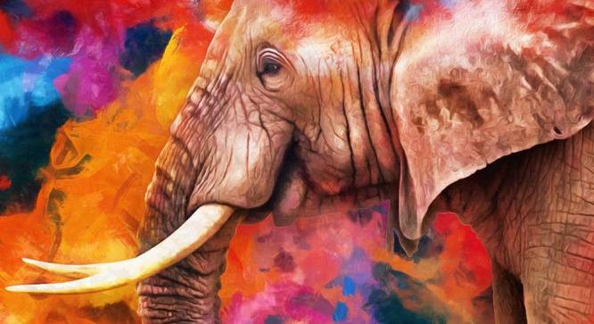 Multicolor Elephant Painting - 24 x 24 inch (multi-color) by Urban Ladder - Design 1 Side View - 799560