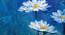 Pretty White Flowers Painting - 24 x 16 inch (multi-color) by Urban Ladder - Ground View Design 1 - 799583