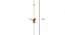 Minimal Wall Clock - 2 feet (Gold) by Urban Ladder - Design 1 Dimension - 799737