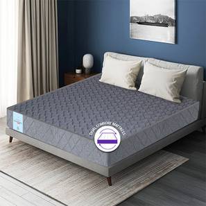 Premium orthopedic dual comfort lp