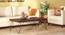 Dyson Coffee Table (Walnut Finish) by Urban Ladder - Side View - 