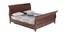Reagan Non Storage Bed (Walnut Finish, Queen Bed Size) by Urban Ladder - Front View Design 1 - 801001