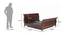 Reagan Non Storage Bed (Walnut Finish, Queen Bed Size) by Urban Ladder - Design 1 Dimension - 801033