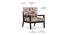 Kenneth Solid Wood Lounge Chair in Green (Green) by Urban Ladder - Front View Design 1 - 801192