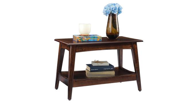 Eero Steam Beech Wood Side Table (Brown Finish) by Urban Ladder - Rear View Design 1 - 801409