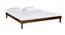Aarya Non Storage Bed (Queen Bed Size, Brown Finish) by Urban Ladder - - 