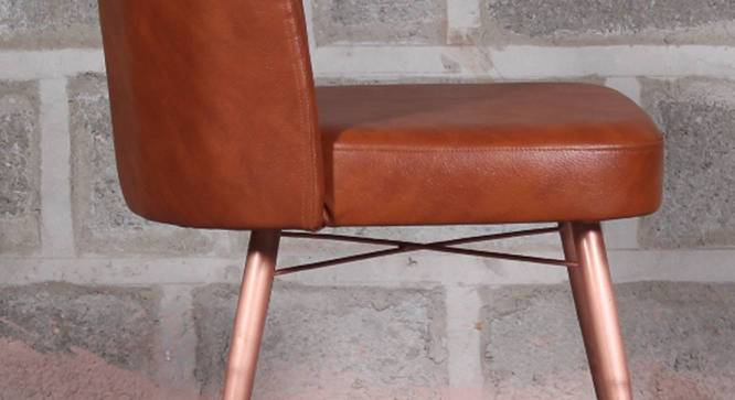Ari Accent Chair (Tan) by Urban Ladder - - 
