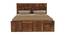 Ellesmere Non Storage Bed (Queen Bed Size, Brown Finish) by Urban Ladder - - 