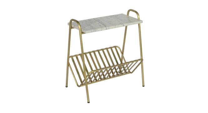 Jillian Magzine Holder (Gold Finish) by Urban Ladder - - 